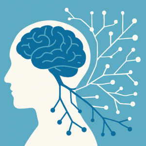 Neuroplasticità cerebrale